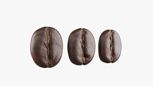 Exploring coffee grades and what diffrentiates them